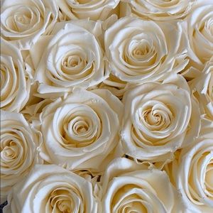 Meet your Posher, Jasmin